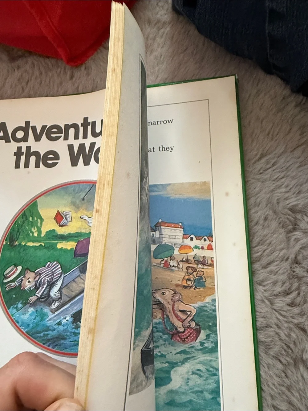 Adventure on the Water A Town Mouse and Country Mouse Story Vintage 1986